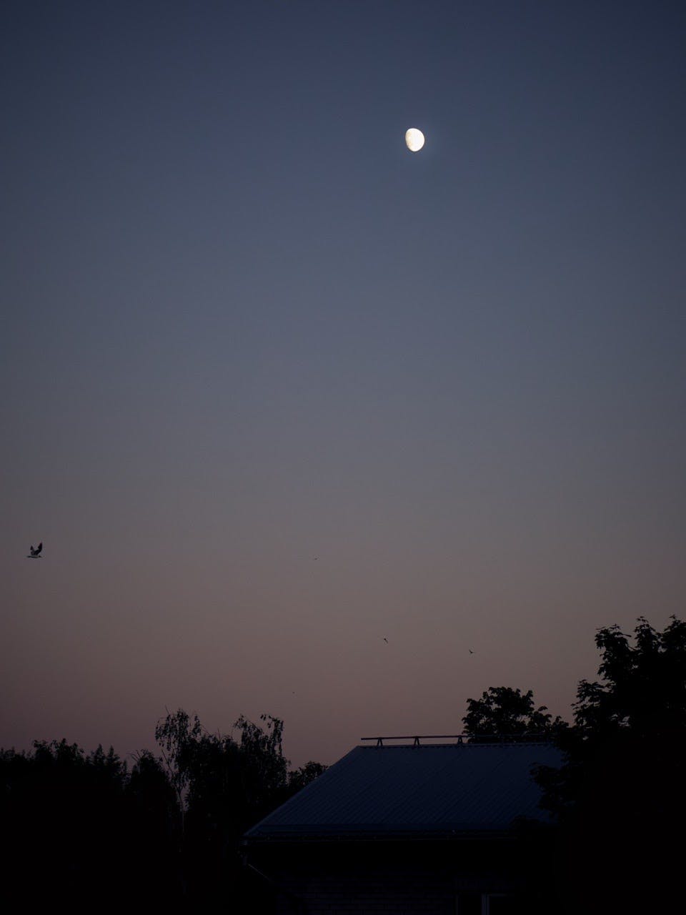 Sunset at 22:45 with a clear sky and the moon in Sikupilli area in Tallinn.